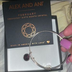 february birthstone silver alex and ani bracelet